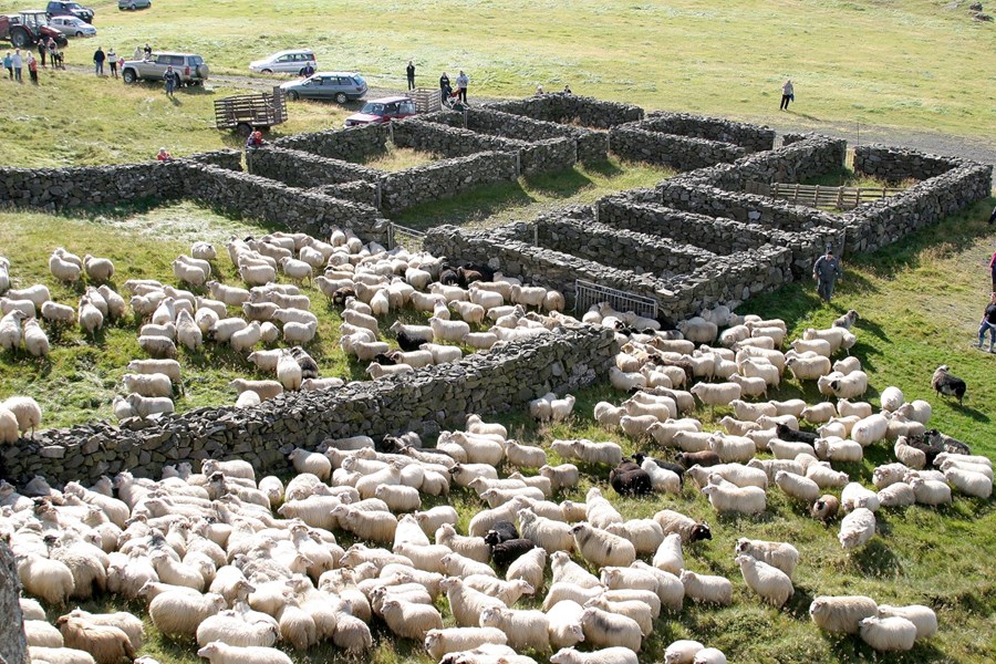 Fjárréttir, eins og Reynisrétt í Innri-Akraneshreppi hinum forna, eru dæmi um þjóðlegt verklag.