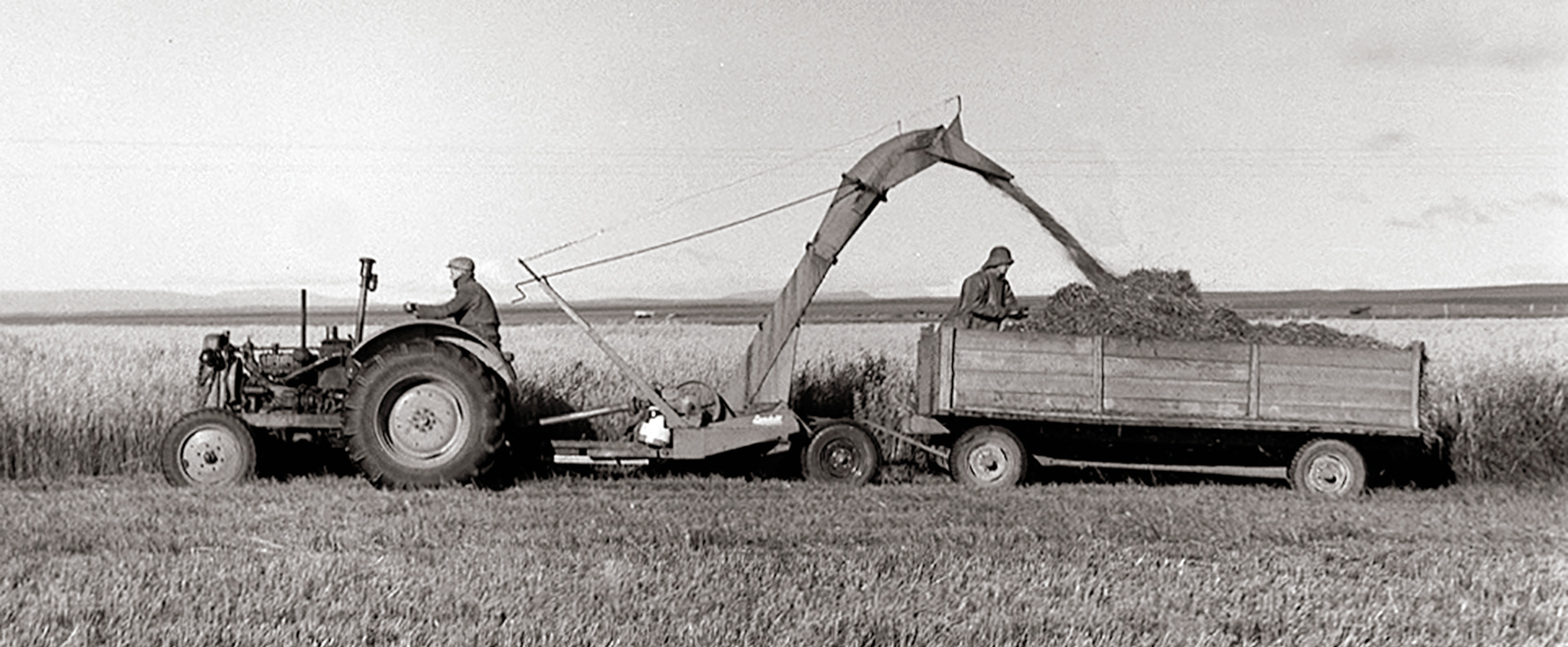 Sláttutætarinn – eins manns heyönn