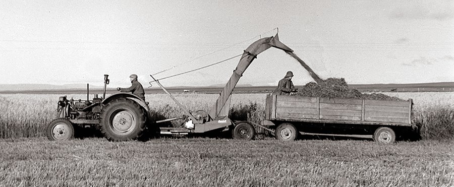 Í dag eru þeir fáir sem heyja með sláttutætara. 