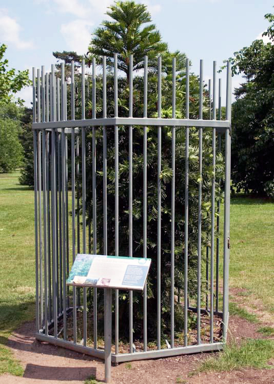 Fækkun í flóru Ástralíu