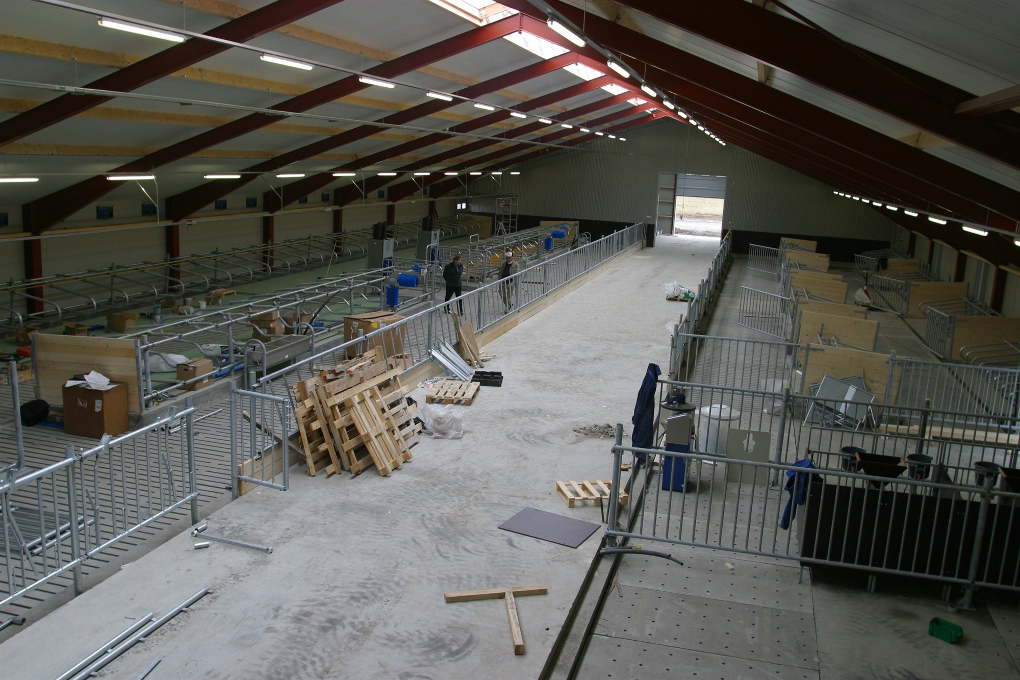 Nautgripabændur fjárfest fyrir milljarða í bættum aðbúnaði