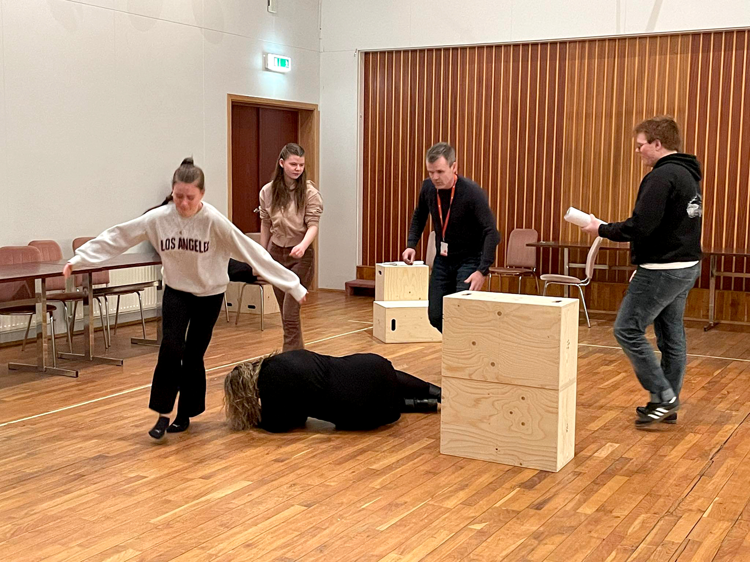 Gauragangur í Þingeyjarsveitinni