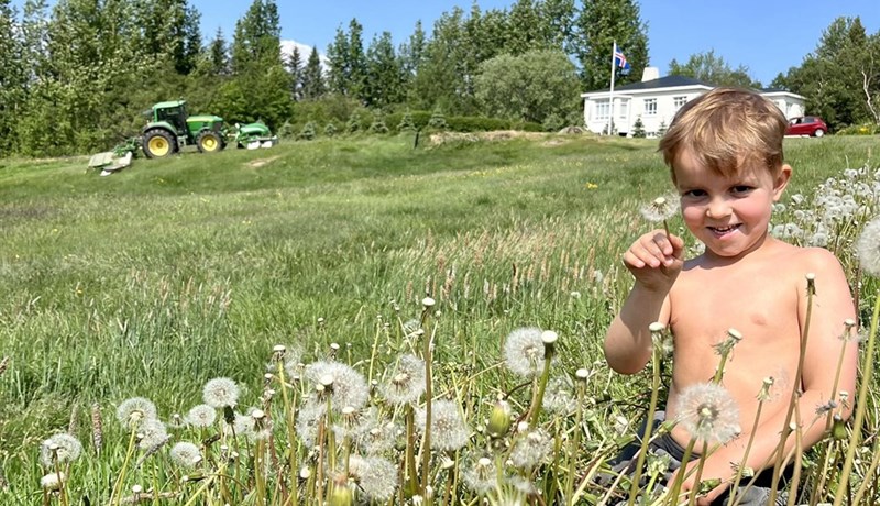 Vonast eftir rigningu