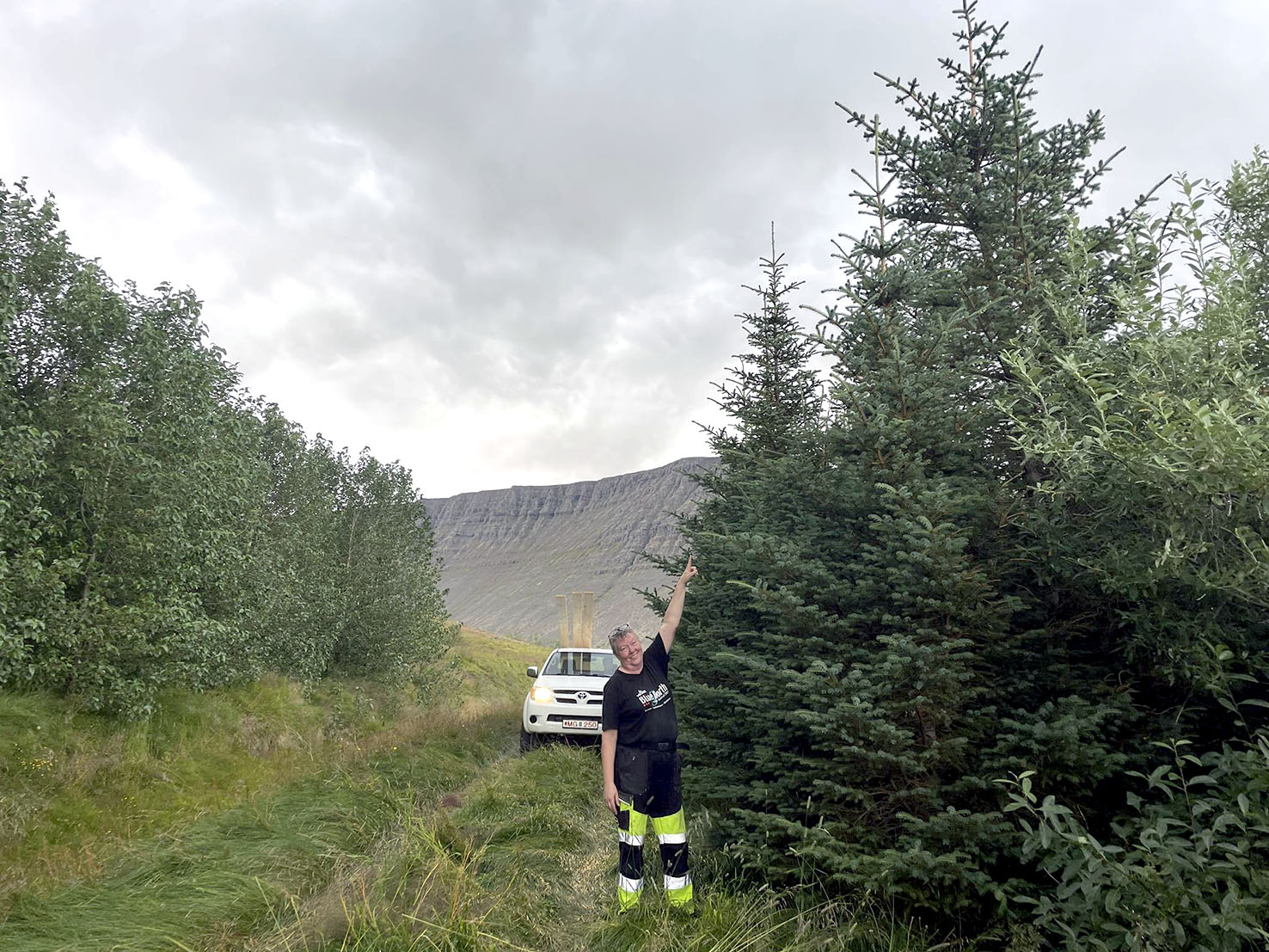 Skógrækt og skemmtun