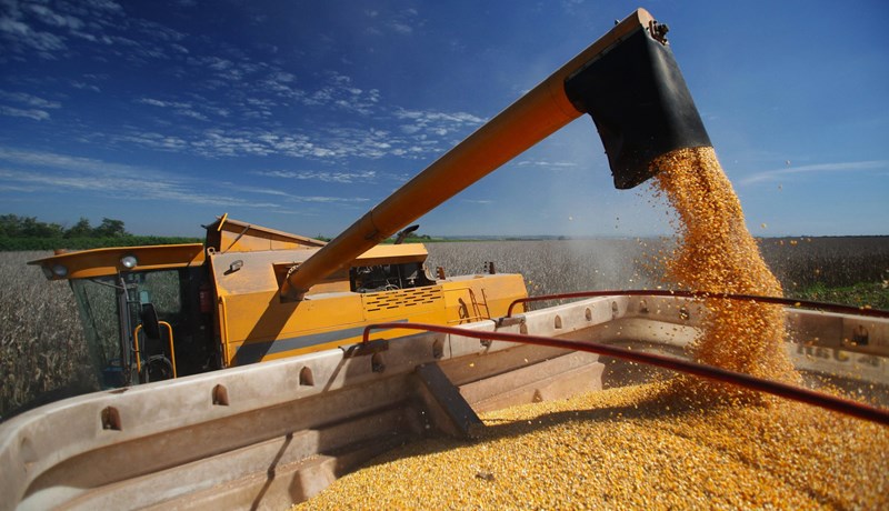 Bandarískir bændur sagðir tapa viðskiptum til kollega í Brasilíu og Argentínu