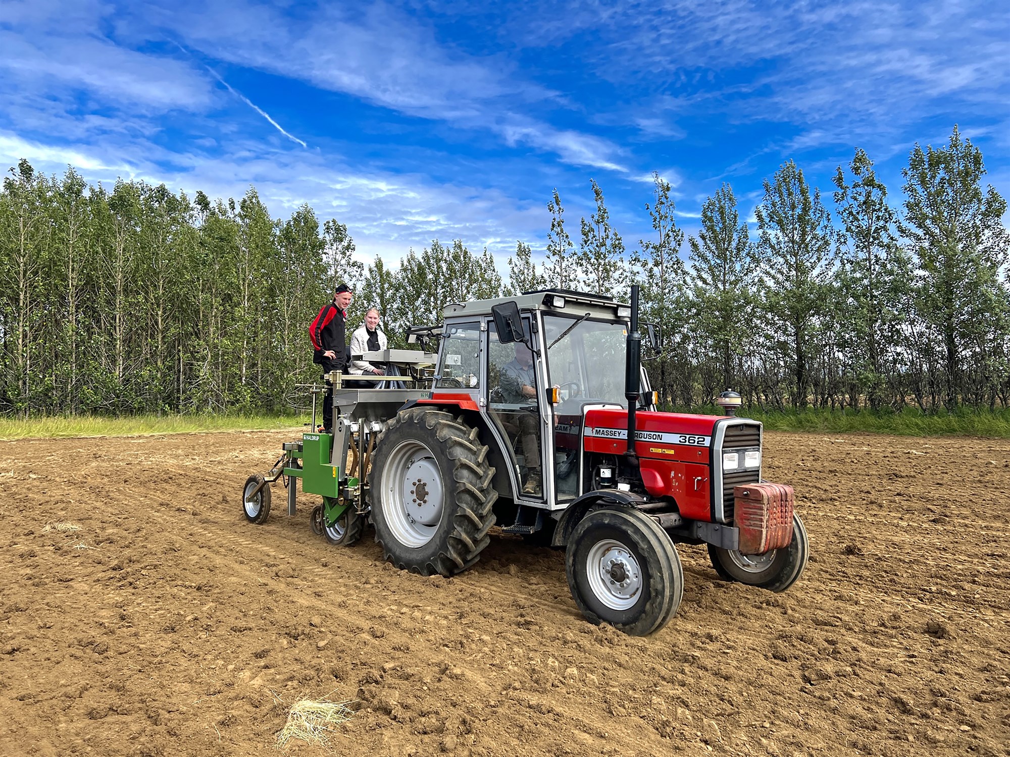 Metfjöldi yrkja í prófun