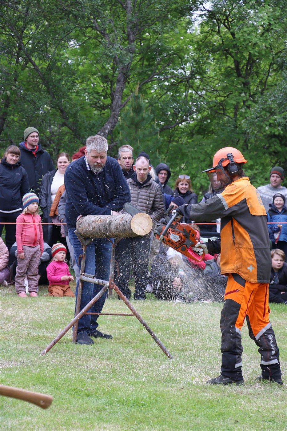 Skógardagurinn mikli