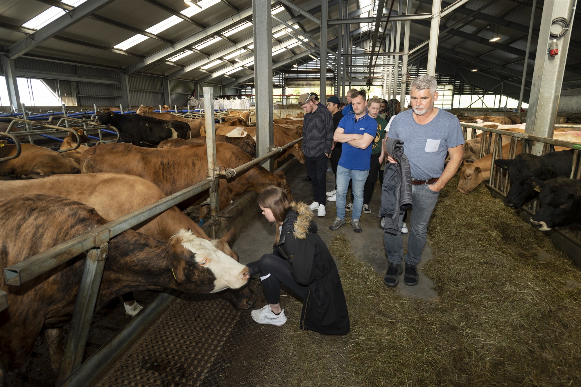 Matreiðslunemar fylgdu nauti alla leið