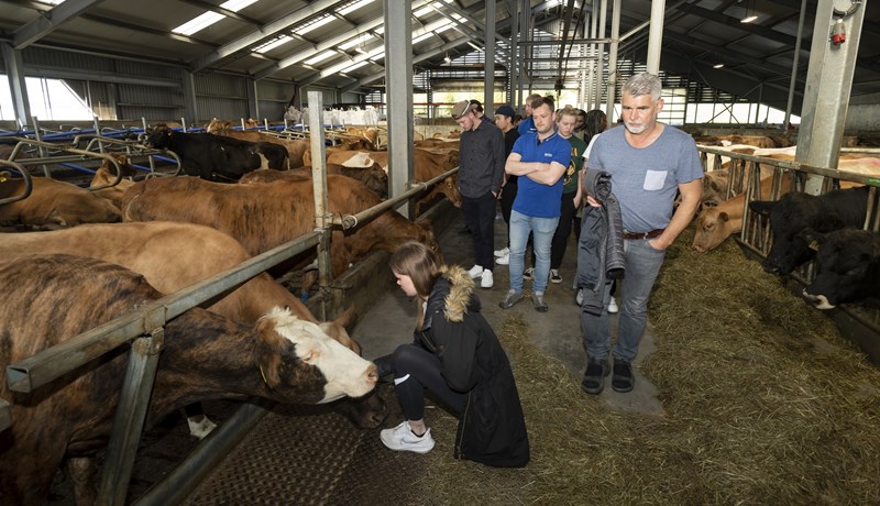 Matreiðslunemar fylgdu nauti alla leið