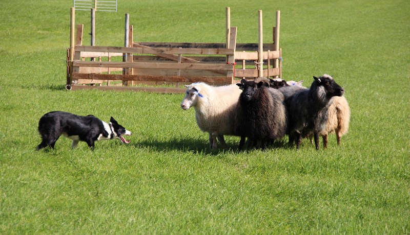 Jöfn og spennandi keppni alveg til loka