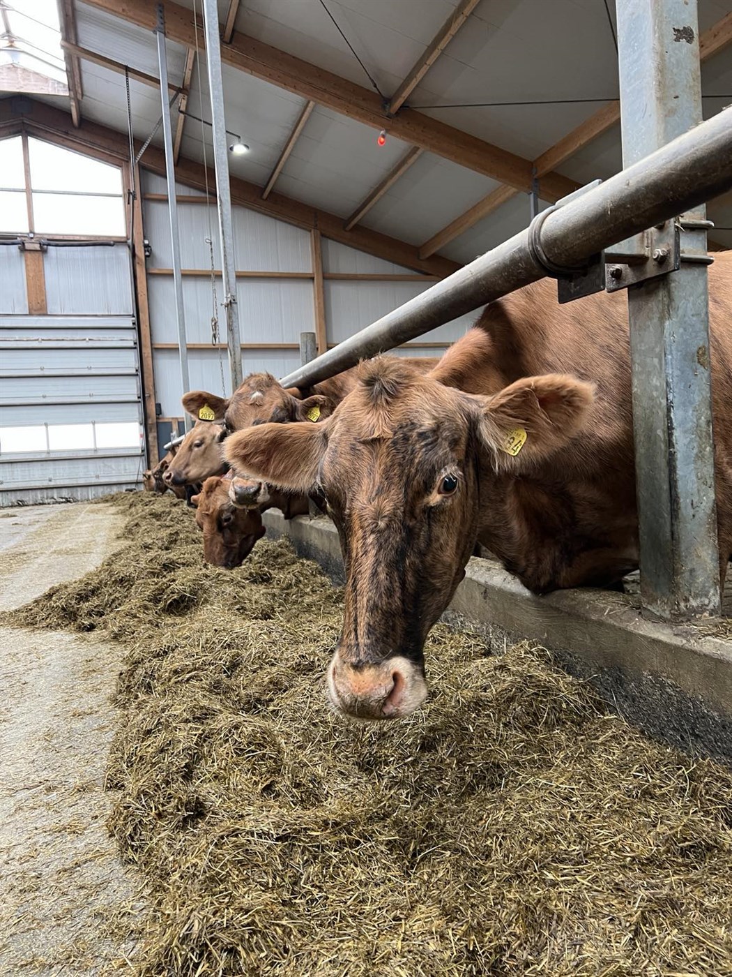 Að misnota markað?