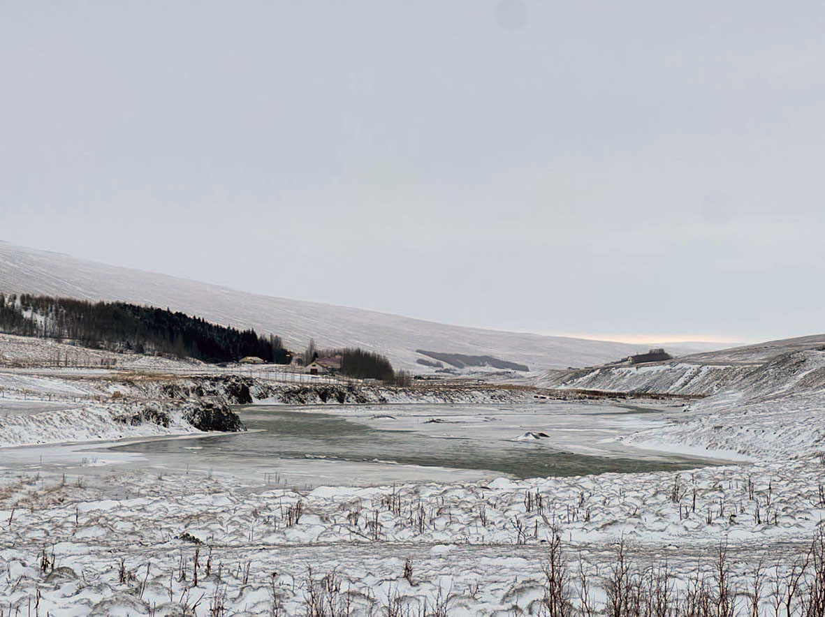 Arfgerðagreiningar unnar á Eiðsstöðum