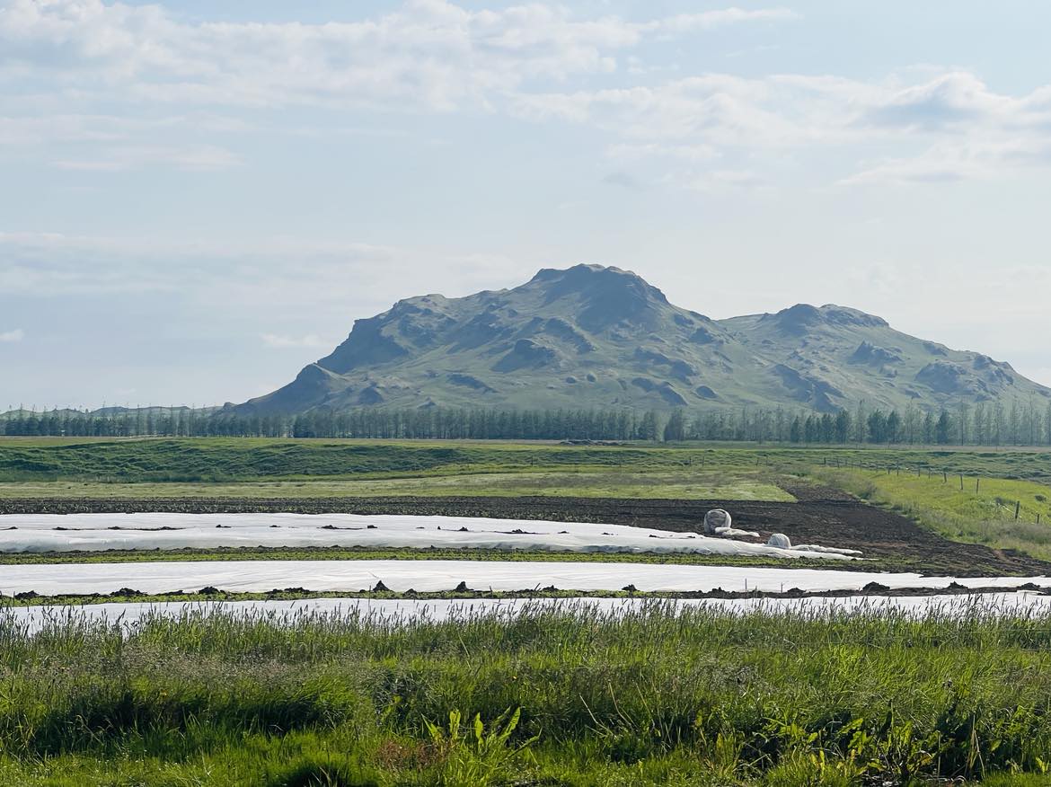 Hefðarheiti hins sjálfstæða manns