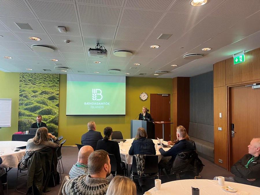 Fjölbreytt verkefni