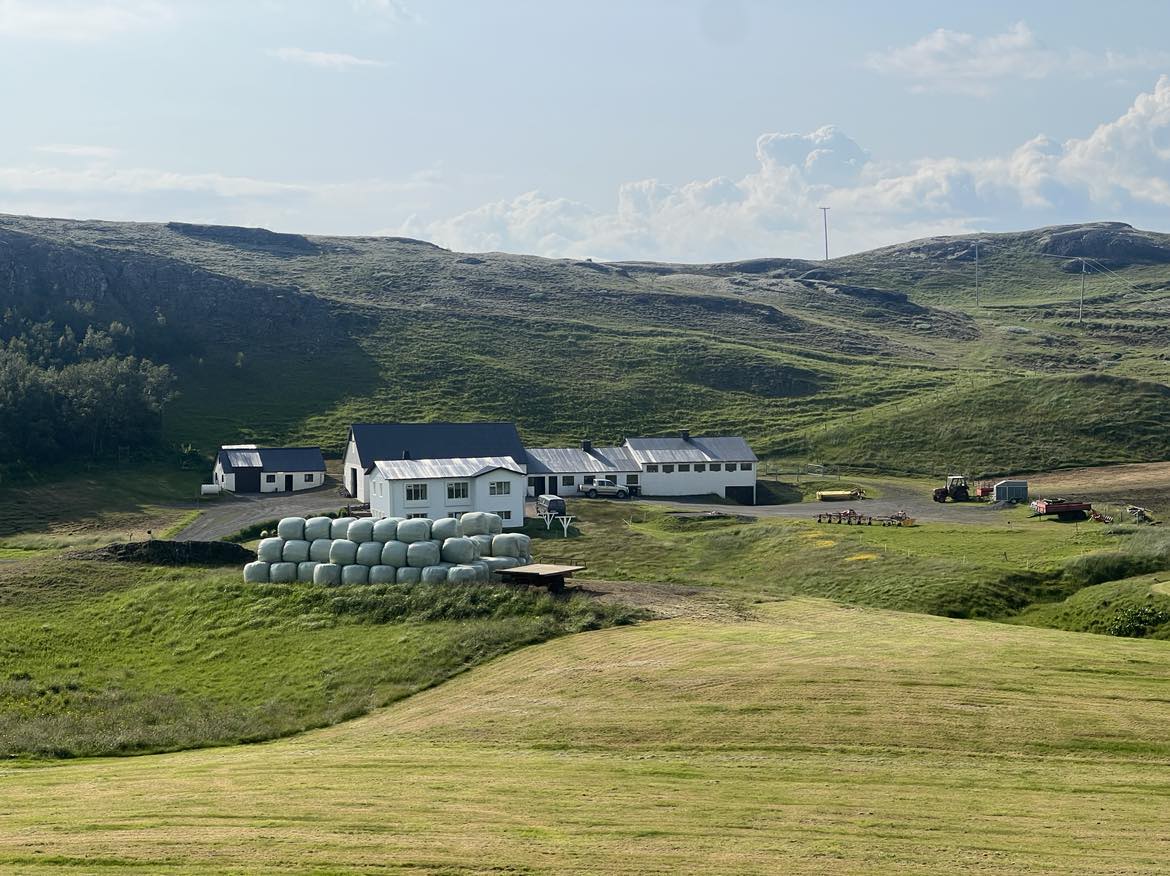 Horfið frá framleiðslutengdum stuðningi