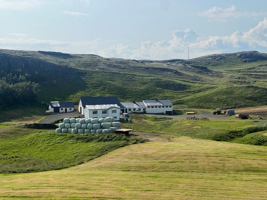 Skýrsluhöfundar leggja til að allur landbúnaðarstuðningur verði skilgreindur með heildstæðum hætti í lögum og reglugerðum, að hann hverfi frá framleiðslutengdum stuðningi og að aðkoma hagsmunaaðila verði tryggð með öðrum hætti en lokuðum samningsfundum.