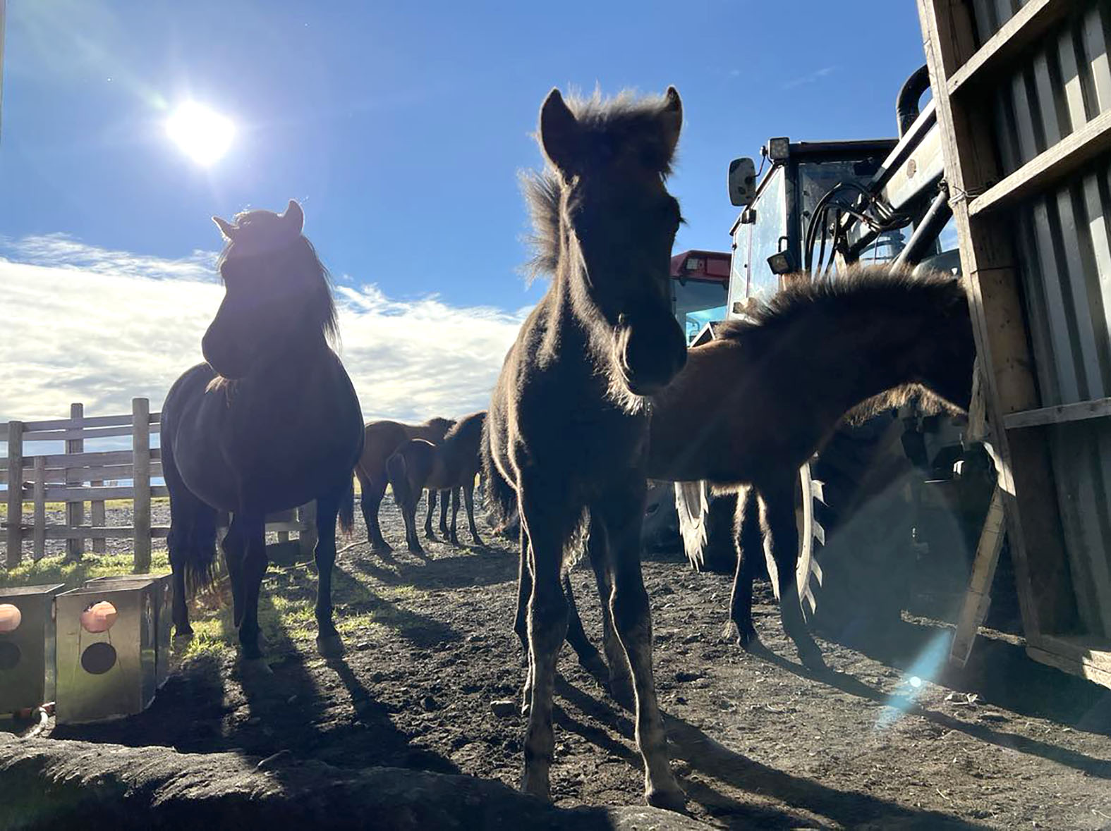 Atvinnuréttindi bænda