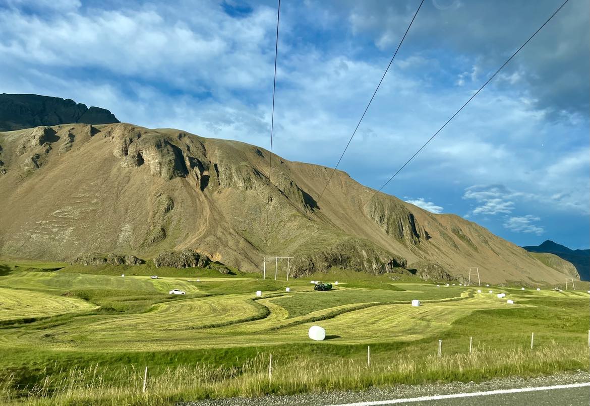 Samskipti við stjórnvöld