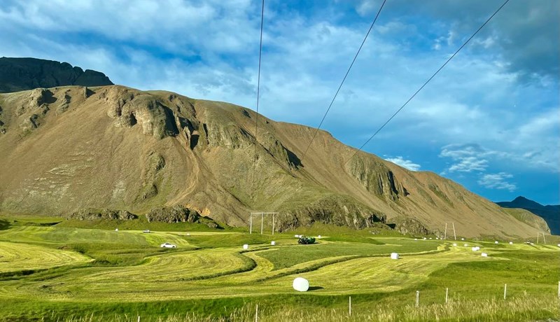 Samskipti við stjórnvöld