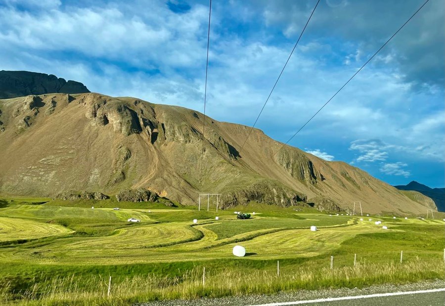 Samskipti almennings við stjórnvöld eru oft flókin og krefjast þess að einstaklingar þekki réttindi sín og skyldur.