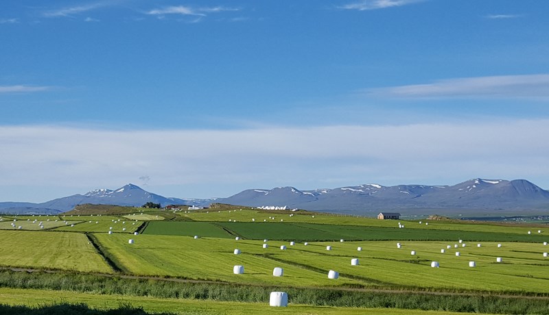 Búseta verði áfram tryggð til sveita við sölu á bújörðum