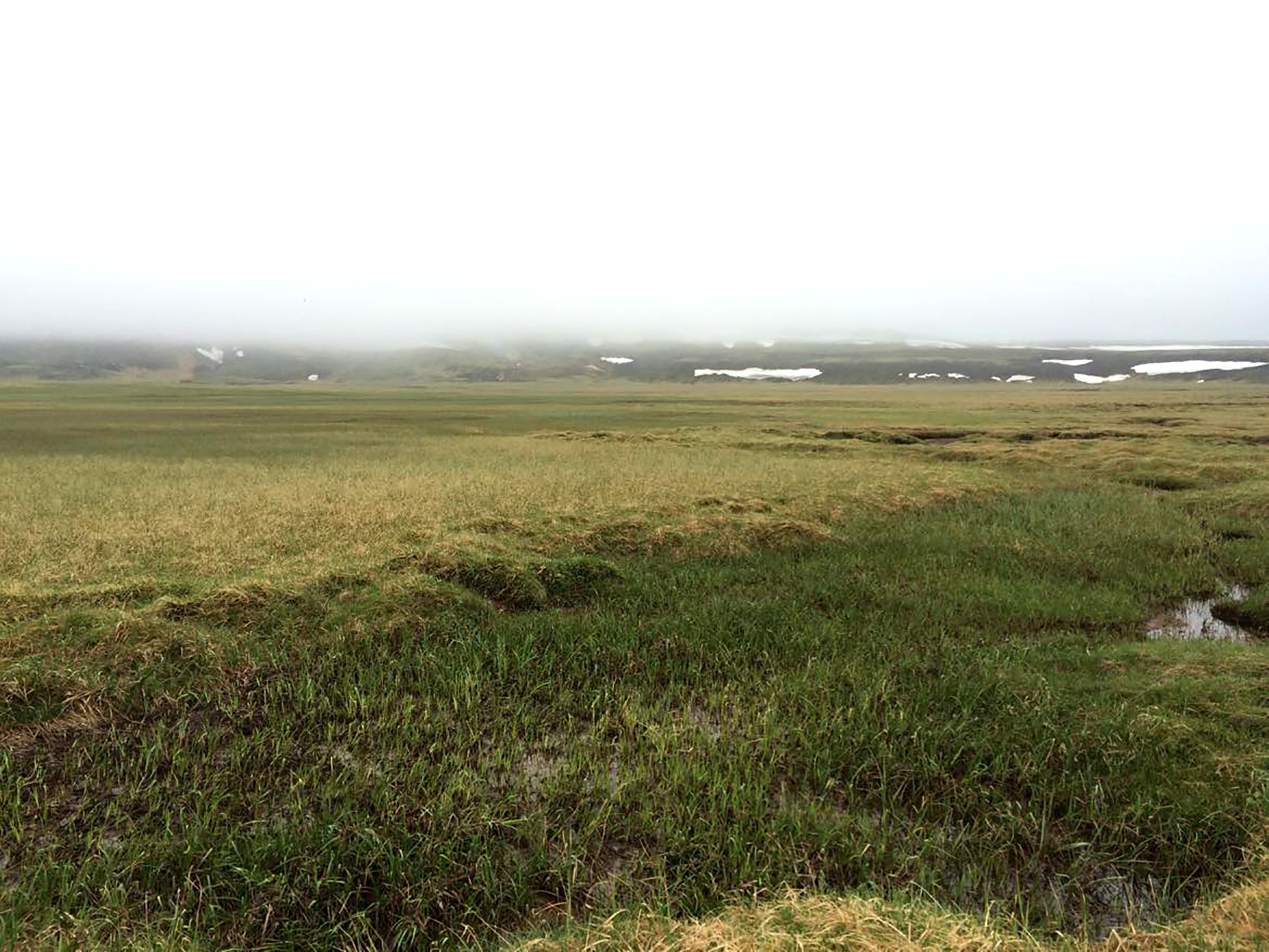 Breytingin nær tvöföld losun landbúnaðarins