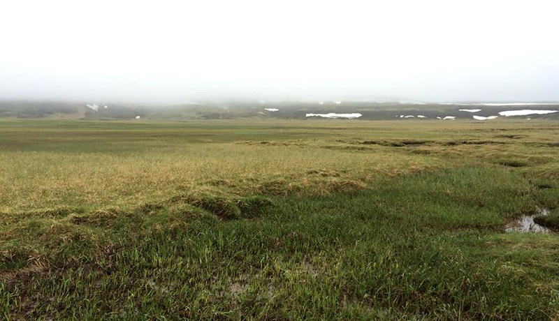 Breytingin nær tvöföld losun landbúnaðarins