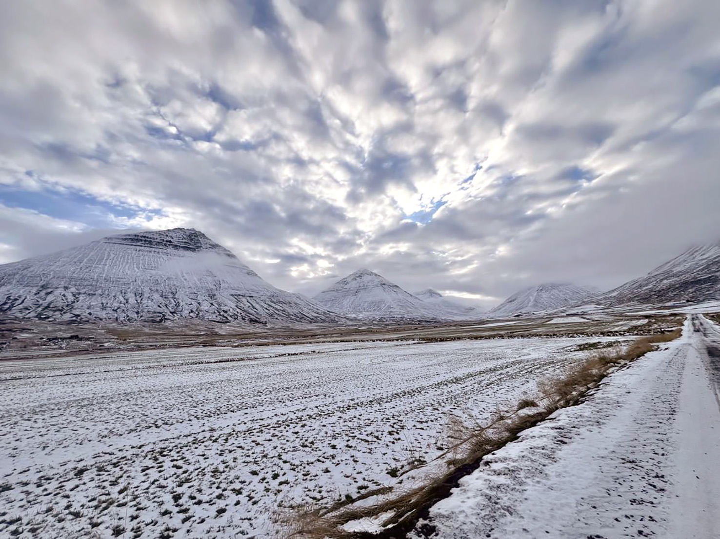 Búskapur og tryggingavernd