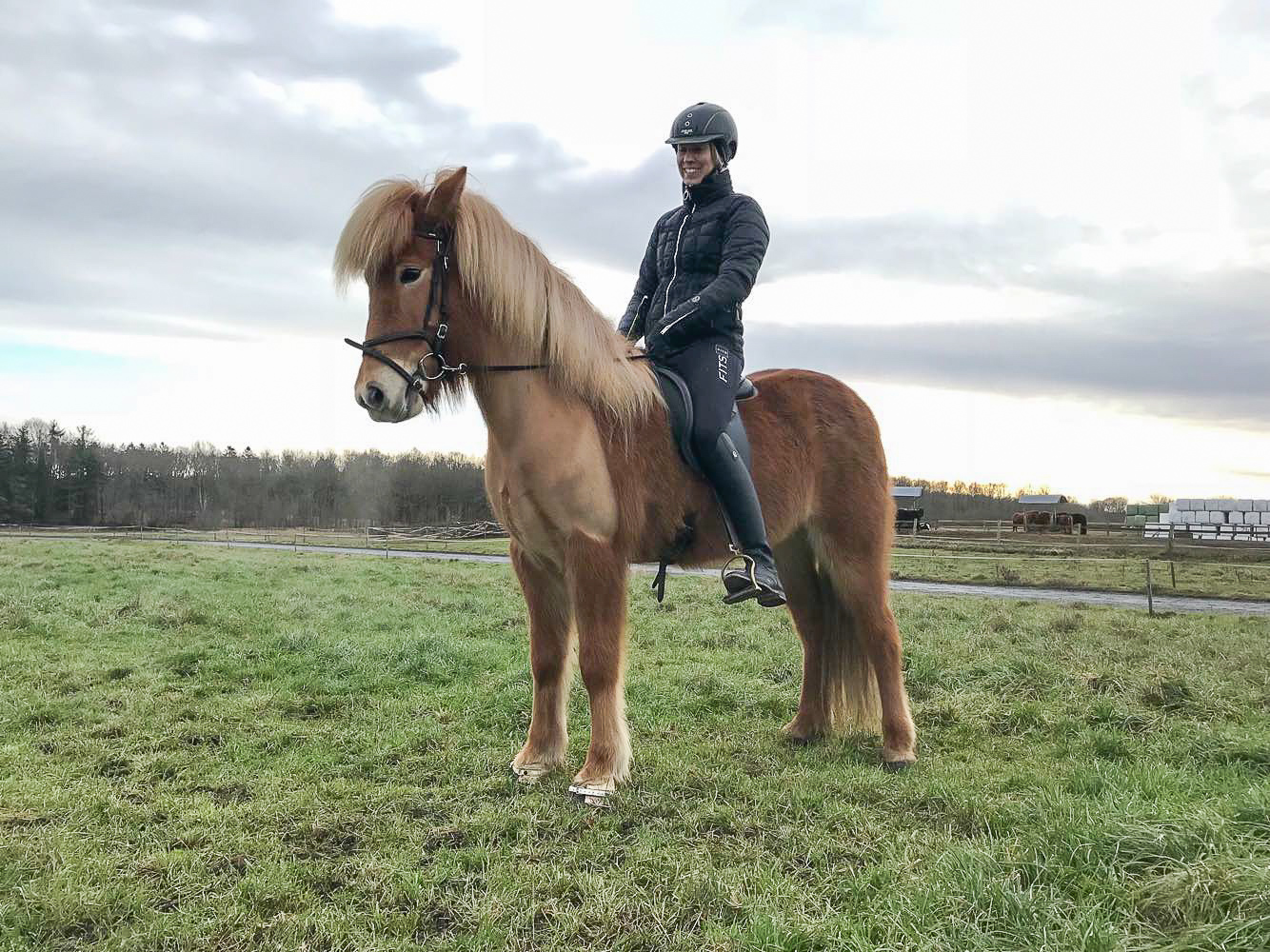 Spennandi markaðir beggja vegna Atlantshafsins