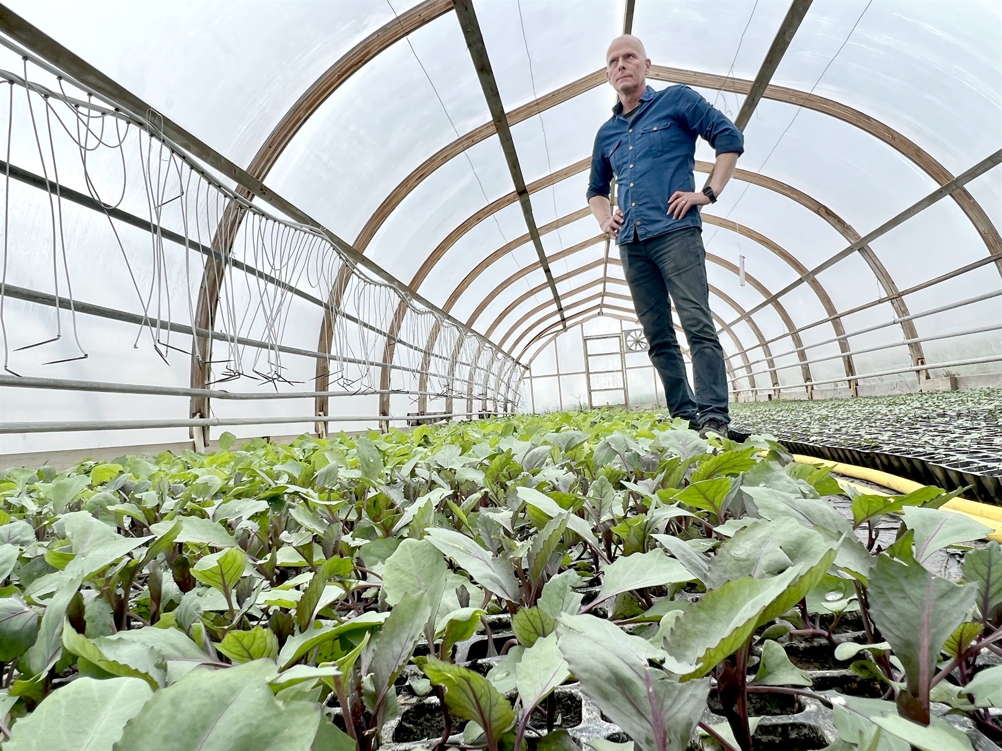 Skilyrði sköpuð til 25% vaxtar í íslenskri garðyrkju