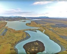 Jarmað, hneggjað, baulað ...