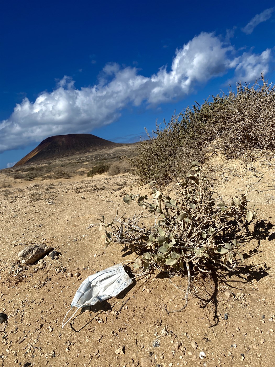 Sérstaða einnota andlitsgríma