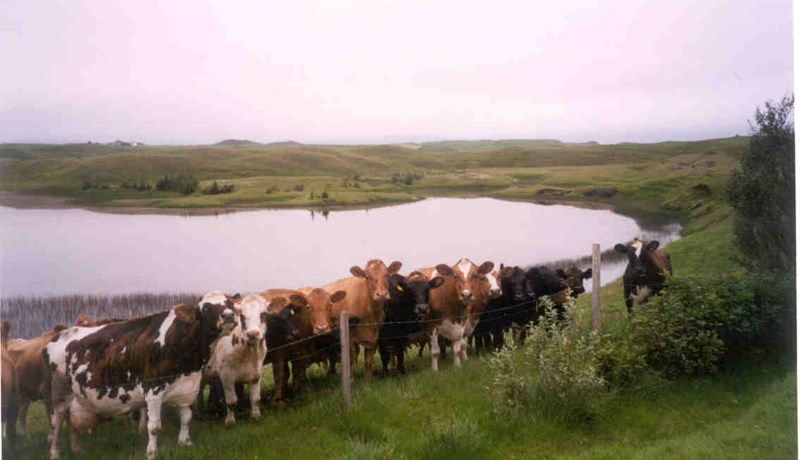 Forstjóri SS segir vísvitandi blekkingum beitt í áróðursstríði gegn landbúnaðarkerfinu