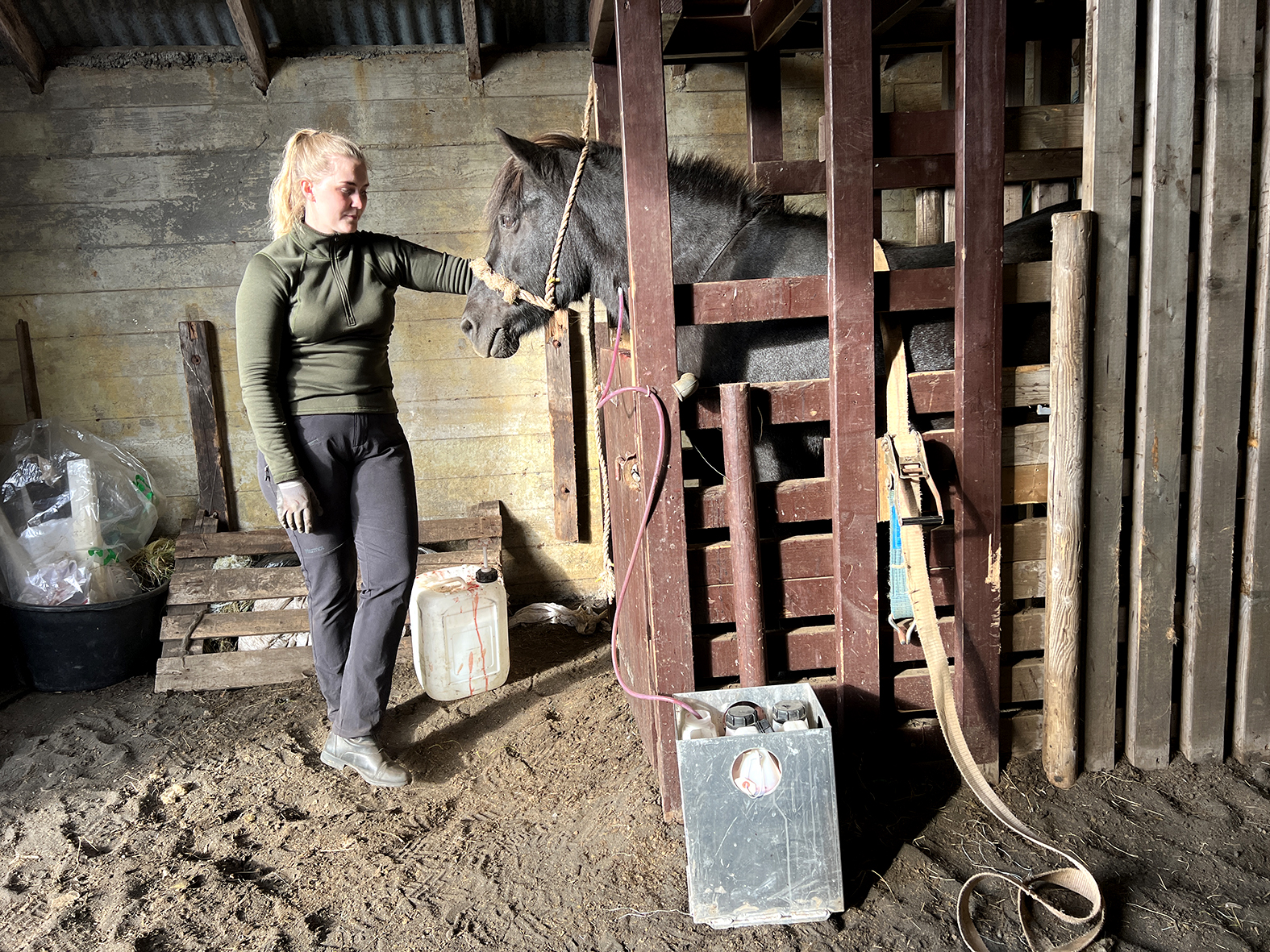 Eðlilegur blóðhagur þrátt fyrir blóðtöku