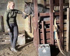 Ísteka fær skilyrt starfsleyfi fyrir blóðtöku á hryssum