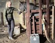 Ísteka fær skilyrt starfsleyfi fyrir blóðtöku á hryssum