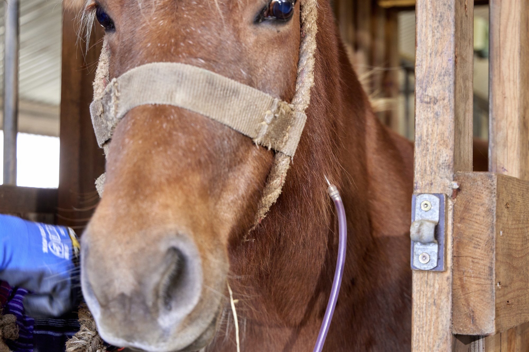 Staðreyndirnar tala sínu máli