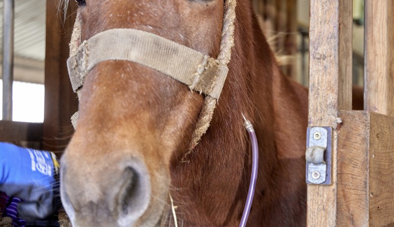 Staðreyndirnar tala sínu máli