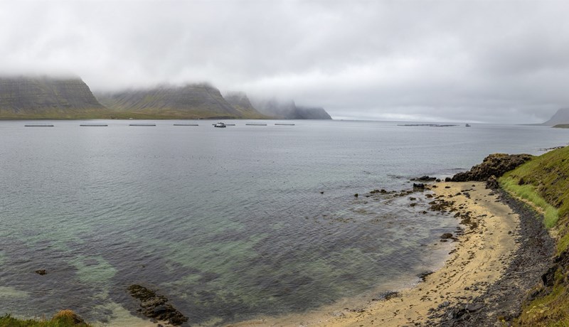 Laxalúsafár, regluverkið og upplýsingagjöf