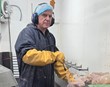 Eitt sláturhús selur alvöru vambir