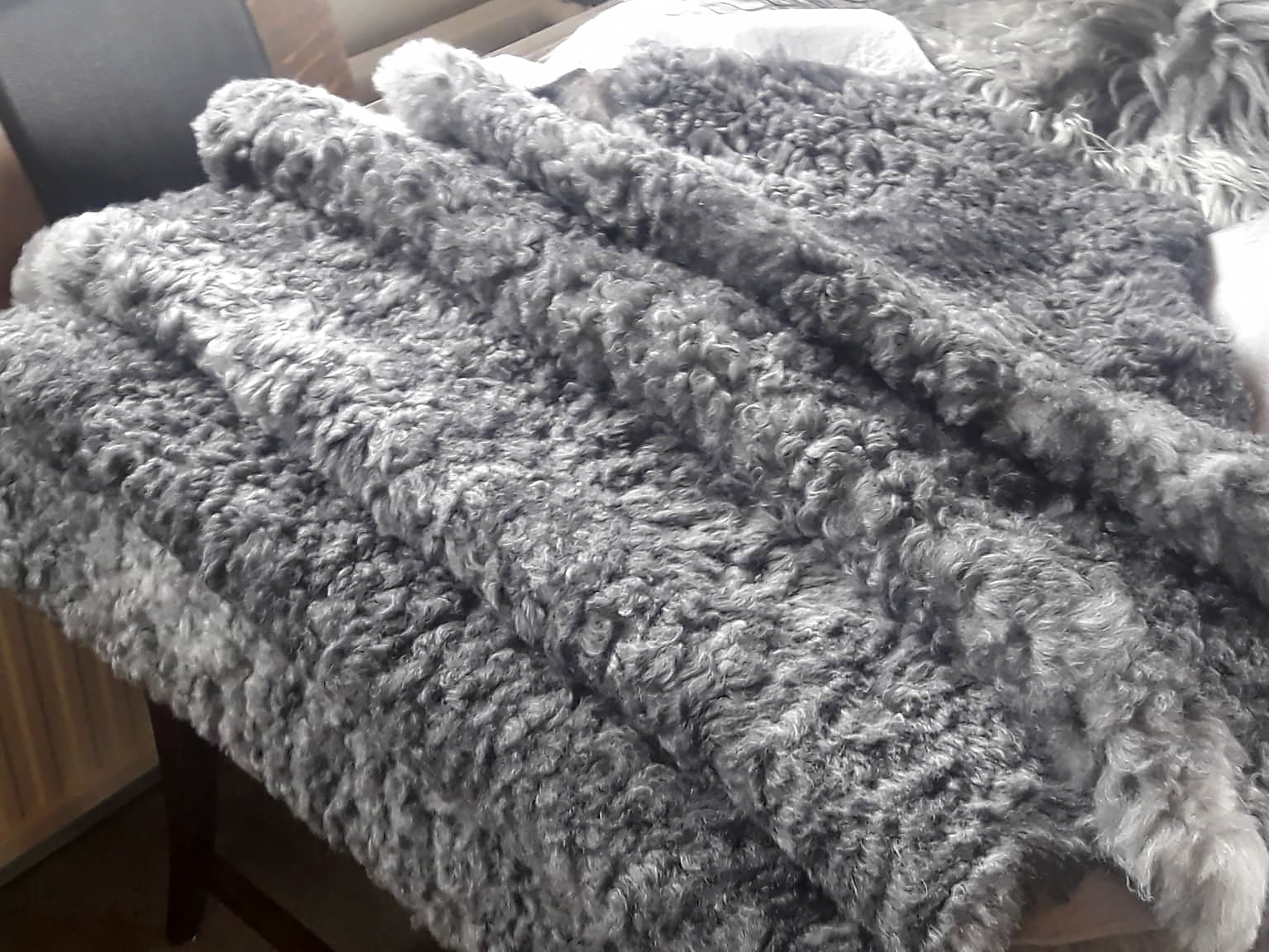 Fregnir af íslenskri feldfjárrækt