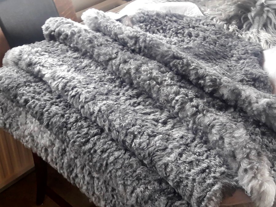 Afurðir af skaftfellsku feldfé. Skinn sem unnin voru í Svíþjóð.