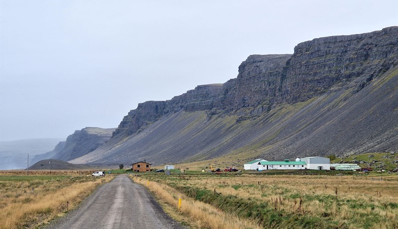 Vestasta kúabú landsins