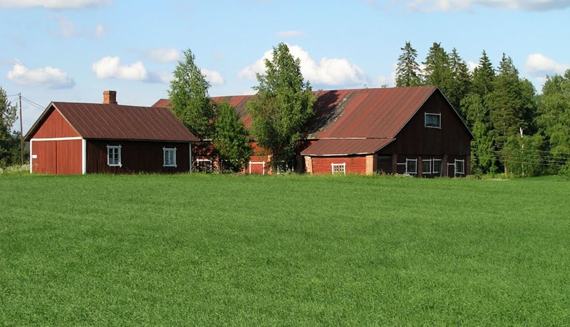 Tekjur finnskra bænda hríðfalla