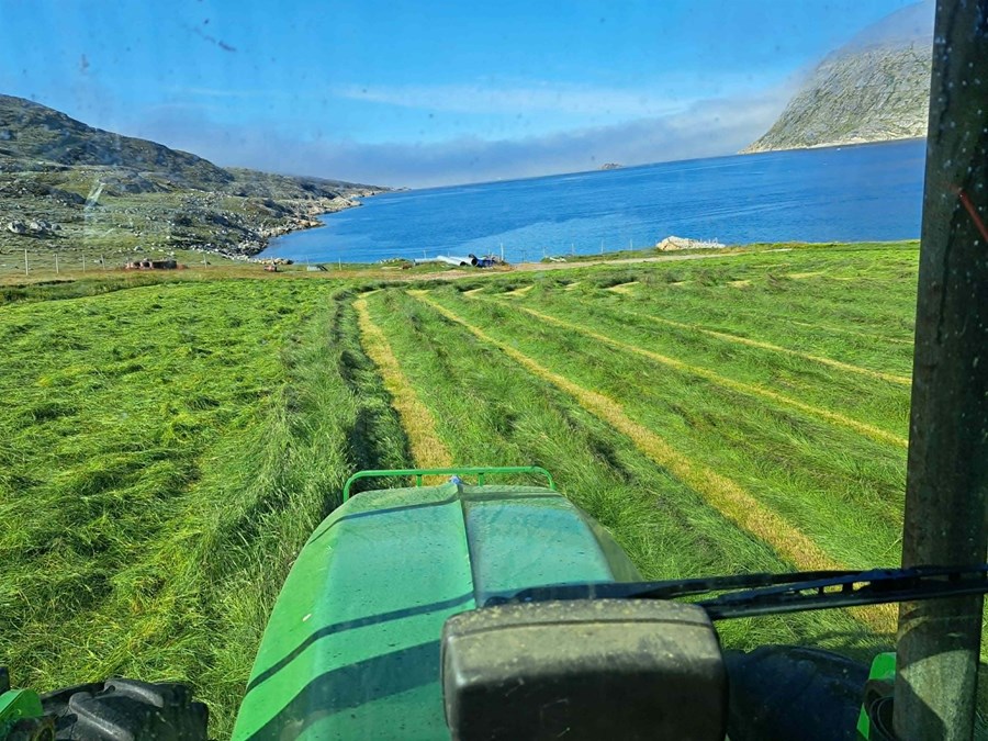 Heyskapur á Grænlandi. Bóndinn á Eqaluit hefur kynnst búskap á Íslandi mjög vel og segir hann búskaparhætti landanna beggja mjög líka. Helsti munurinn felist í mikilli einangrun og nauðsyn grænlenskra bænda að vera sjálfbærir með flest. 