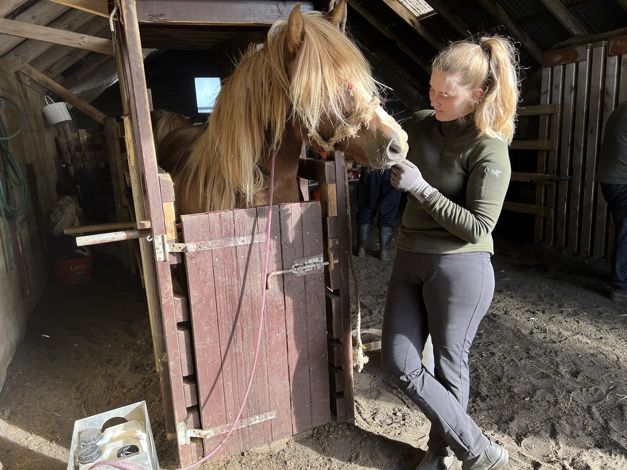 Fylgst með blóðtökum