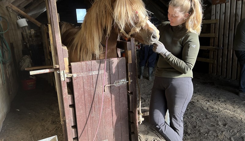 Fylgst með blóðtökum
