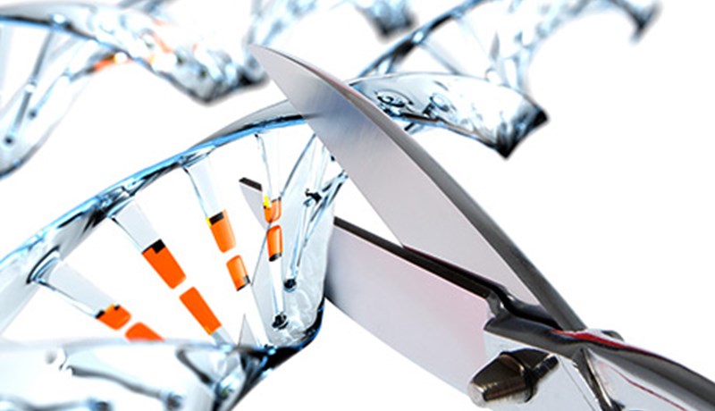 Klippa og líma með nýrri genatækni