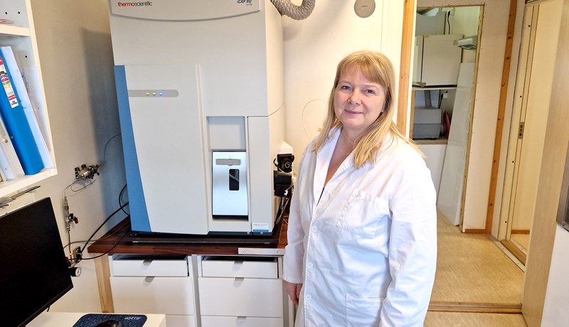 Margföldun í fjölda heysýna