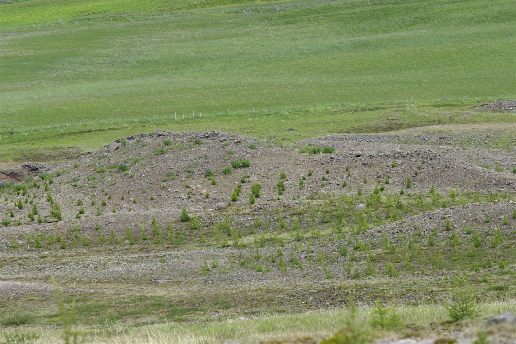 Fyrsta sala vottaðra kolefniseininga